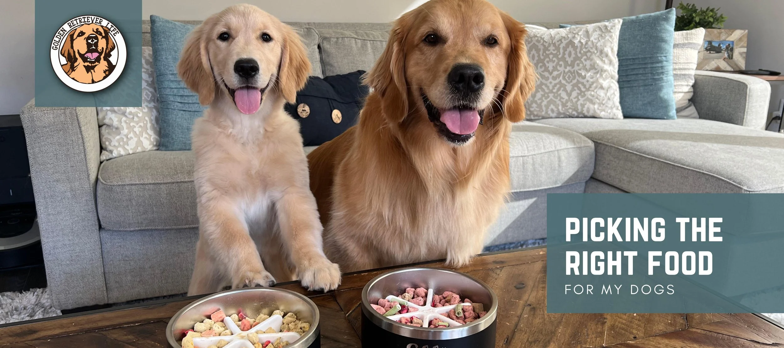 Best dog top food for retrievers